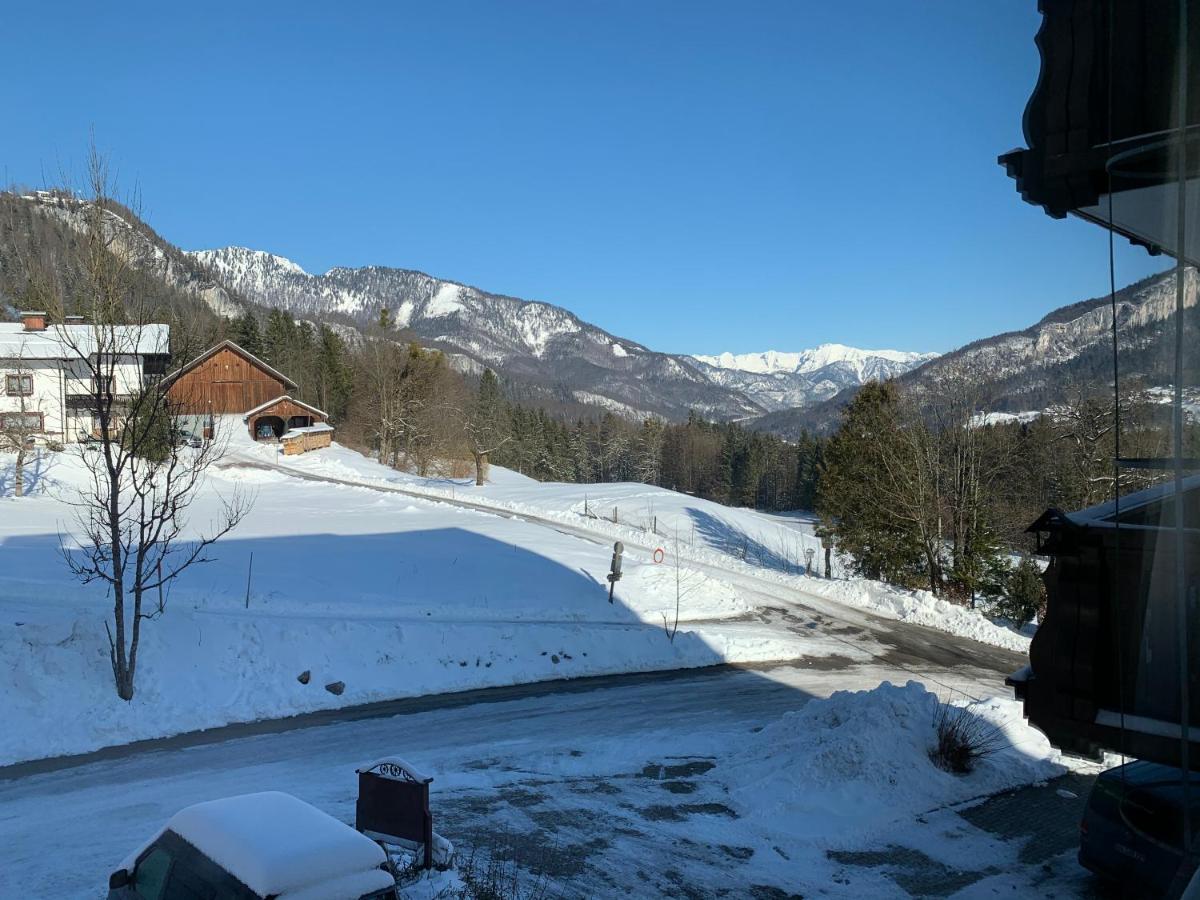 Alpenblick Suite Bad Goisern Eksteriør billede